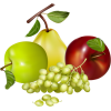 Autumn fruits - Fruit - 
