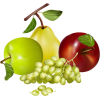 Autumn fruits - Frutta - 