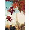 Autumn in Paris - Moje fotografie - 