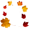 Autumn leafs - Ilustrationen - 