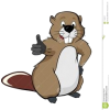 BEAVER 4 - Animais - 