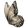 B/W butterfly - Uncategorized - 