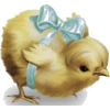 Baby Chick - イラスト - 
