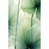Background - Pozadine - 