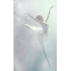Ballet - Minhas fotos - 