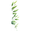 Bamboo leaves 1 - Uncategorized - 