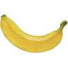 Bananas - Rascunhos - 