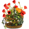 Basket - Растения - 