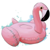 Beach Flamingo - Rascunhos - 