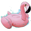 Beach Flamingo - Illustrazioni - 