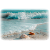 Beach Ocean Sand - Background - 