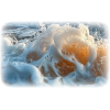 Beach Ocean Waves - Nature - 