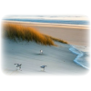 Beach Sand - 背景 - 