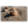 Beach Sand - Background - 