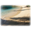 Beach Sand - 自然 - 