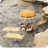 Beach Umbrella - Objectos - 