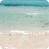 Beach - Fundos - 