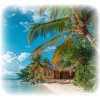 Beach - 背景 - 
