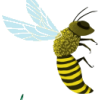 Bee - Animales - 