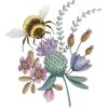 Bee - Illustrations - 
