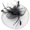 Belle Poque Women's Retro Fascinators Hat with Flower Mesh Ribbons and Feathers for Derby Tea Party - Hat - $5.99 