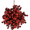 Berries - Rastline - 