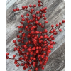 Berries - Biljke - 