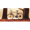 Bike - Samochody - 