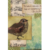 Bird - Background - 