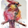 Bird - Illustraciones - 