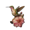 Birds - Natureza - 