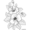 Black Outlined Flowers - Plants - 