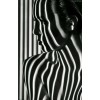 Black & White Photo - Uncategorized - 