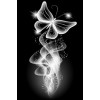 Black and White Butterfly - Фоны - 