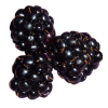 Blackberries - Alimentações - 