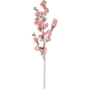 Bloom branch - Rośliny - 