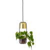 Bloomingville hanging lamp and plant - Pflanzen - 
