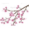 Blossom stem - Illustrations - 