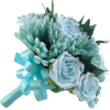 Blue rose - Biljke - 