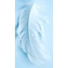 Blue Feather Illus. - Altro - 