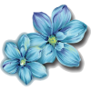 Blue Flowers - Rastline - 