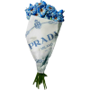 Blue. Flowers - Plants - 