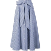 Blue & White Gingham Skirt - Ilustracije - 