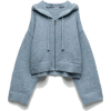 Blue - Pullovers - 