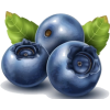 Blueberry - Иллюстрации - 