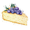 Blueberry cheesecake - Ilustrationen - 
