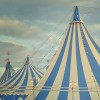 Blue circus - Zgradbe - 