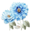 Blue flowers - Plants - 