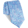 Blue paisley tie (Nordstrom) - Tie - 