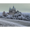 Bojnice Castle slovakia in snow - Edificios - 